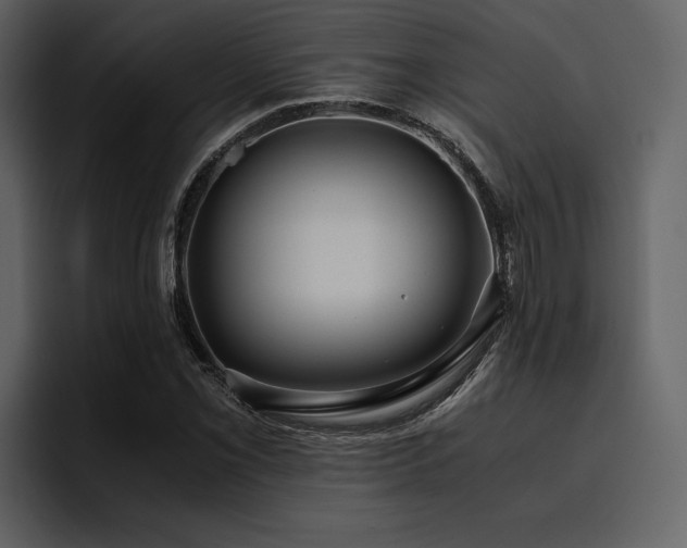 X0000095951069200801111345