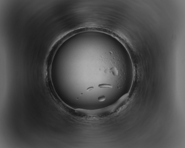 X0000095951070200801111345
