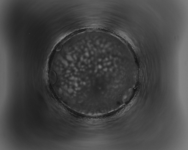 X0000095951071200801111345