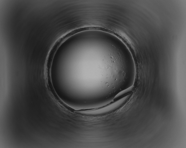 X0000095951072200801111345