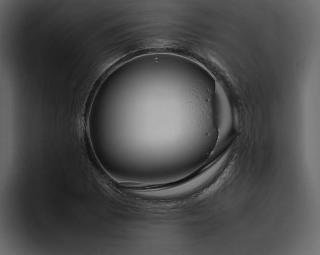 X0000095951073200801111345