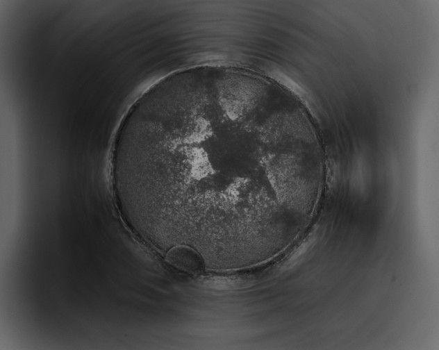 X0000095951074200801111345