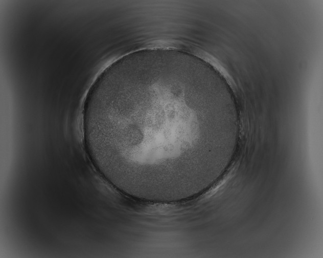 X0000095951075200801111345