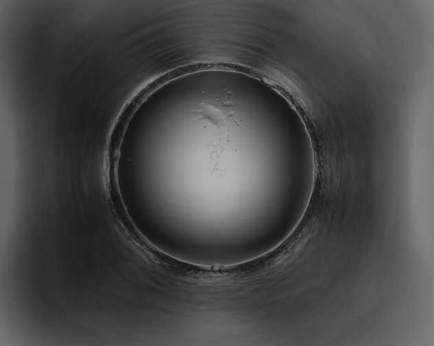 X0000095951076200801111345
