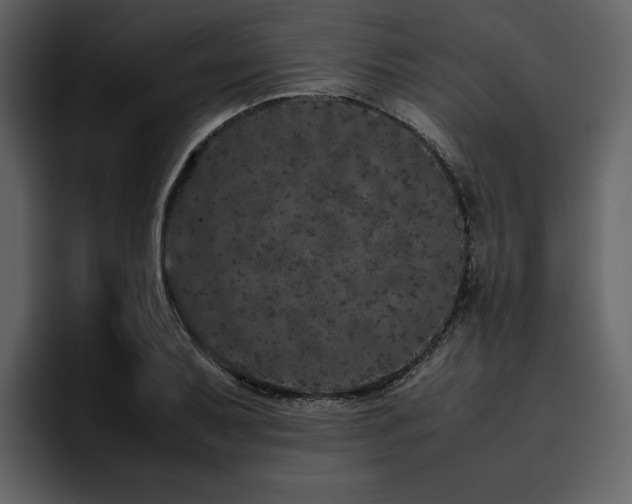 X0000095951079200801111345