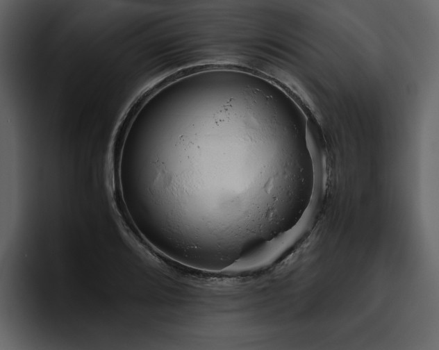 X0000095951080200801111345