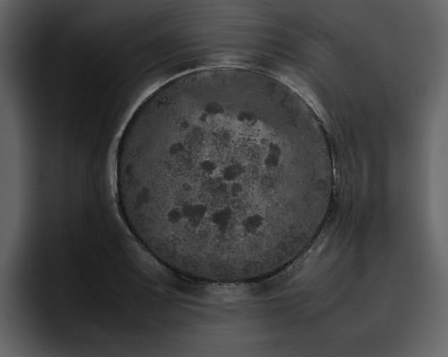 X0000095951083200801111345