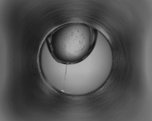 X0000095951084200801111345