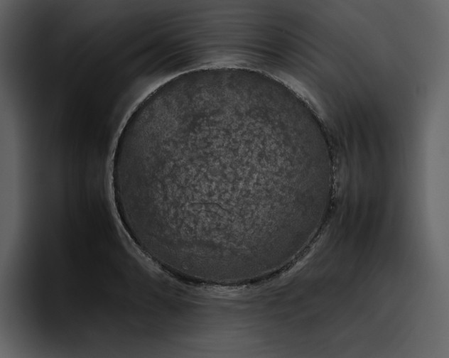 X0000095951086200801111345