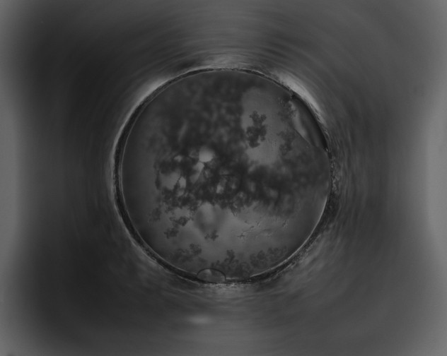 X0000095951087200801111345