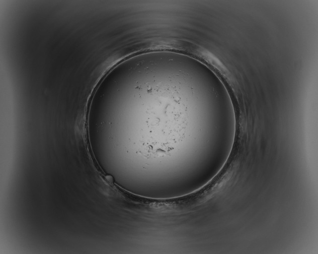 X0000095951089200801111345