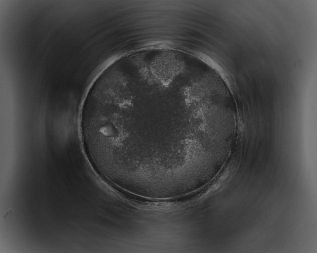 X0000095951090200801111345