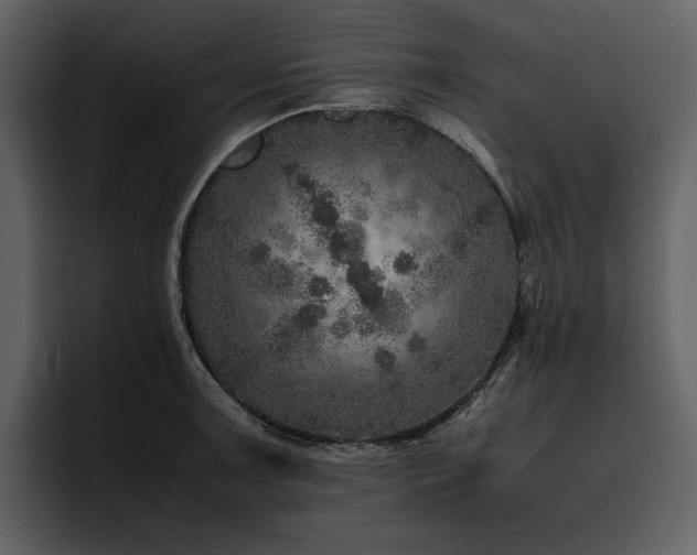 X0000095951091200801111345
