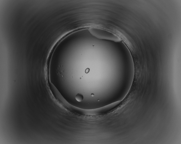 X0000095951092200801111345