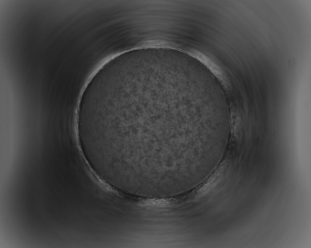 X0000095951094200801111345