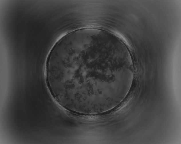X0000095951095200801111345