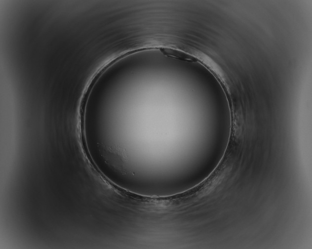 X0000095951096200801111345
