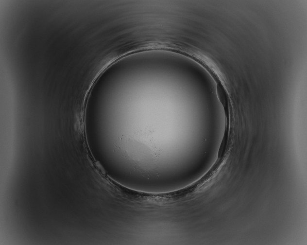 X0000095951097200801111345