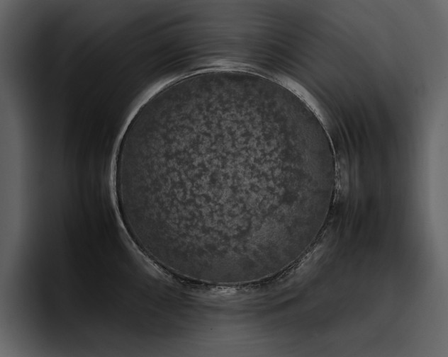 X0000095951098200801111345