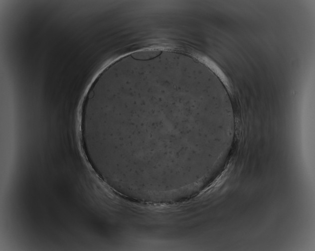 X0000095951099200801111345