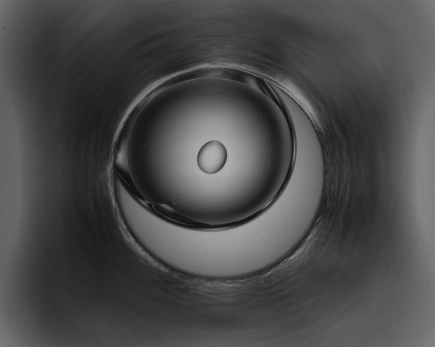 X0000095951100200801111345