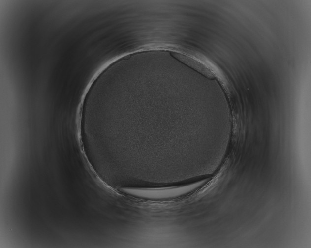 X0000095951102200801111345