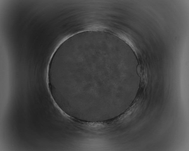 X0000095951103200801111345