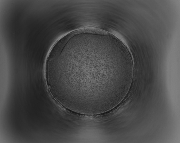 X0000095951104200801111345