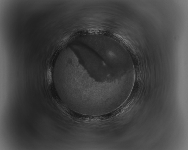 X0000095951106200801111344