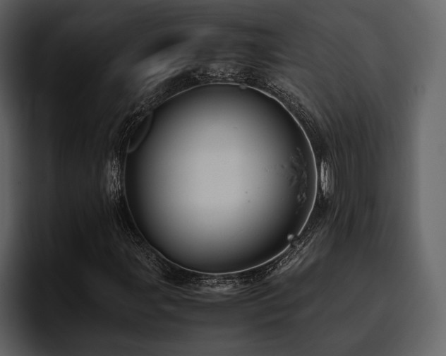 X0000095951107200801111344