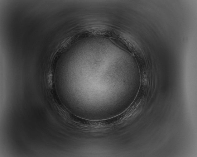 X0000095951108200801111344