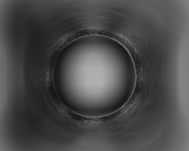 X0000095951110200801111344