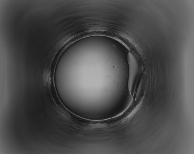 X0000095951113200801111344