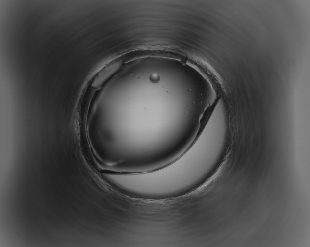 X0000095951114200801111344