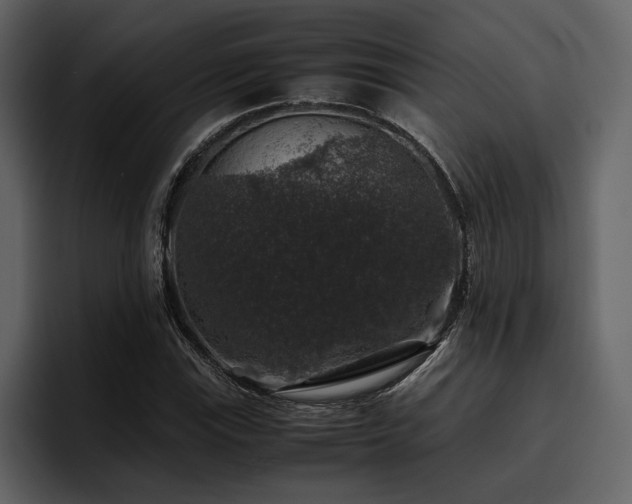 X0000095951115200801111344
