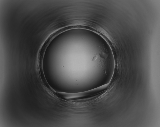 X0000095951116200801111344