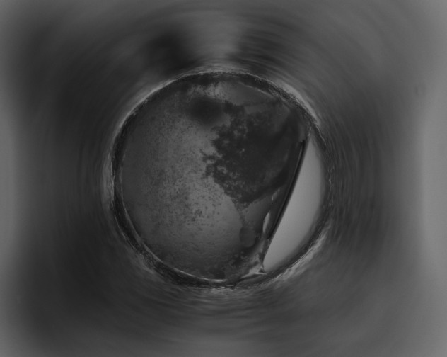 X0000095951117200801111344