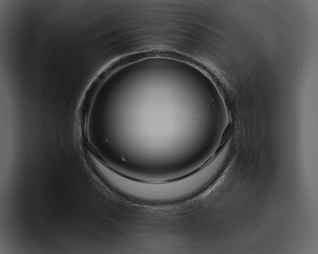 X0000095951118200801111344