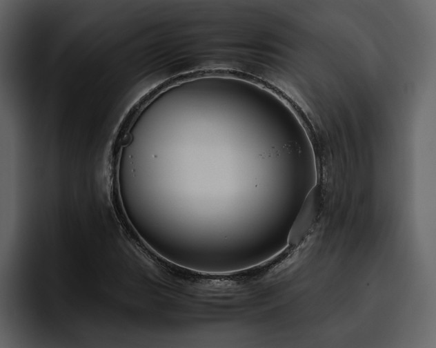 X0000095951119200801111344