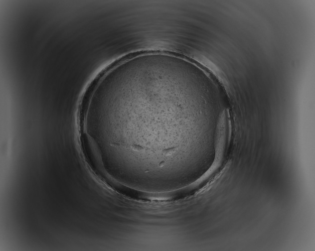 X0000095951120200801111344