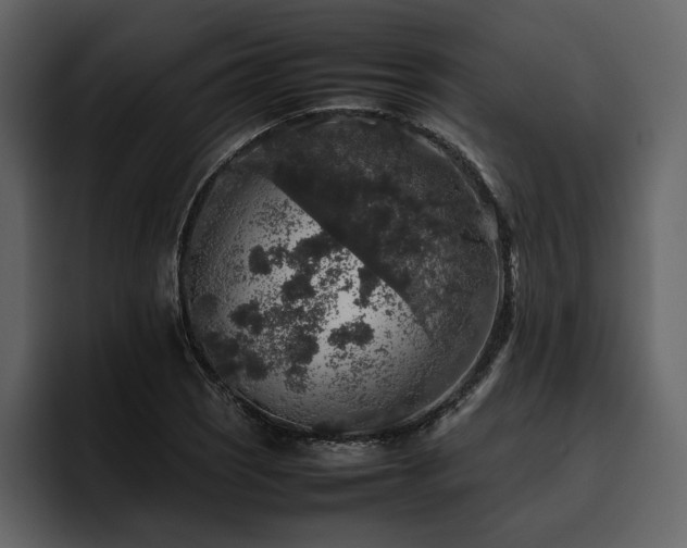 X0000095951121200801111344