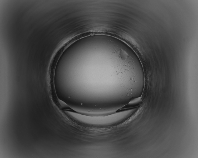 X0000095951122200801111344