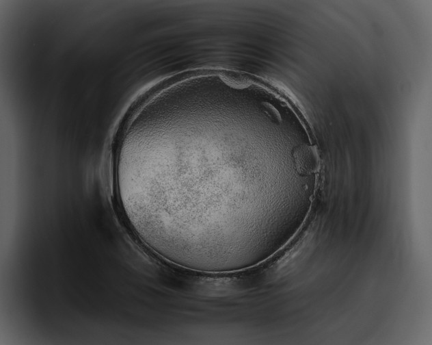 X0000095951123200801111344