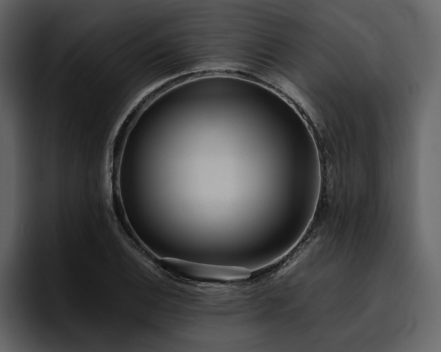 X0000095951124200801111344