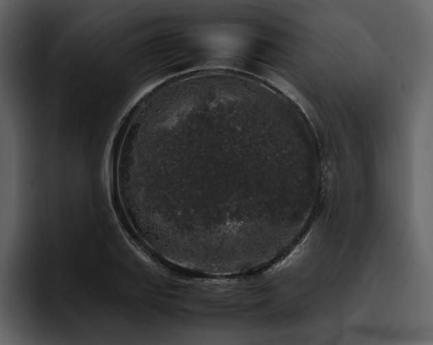 X0000095951127200801111344