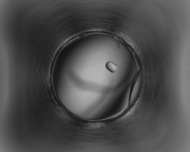 X0000095951129200801111344