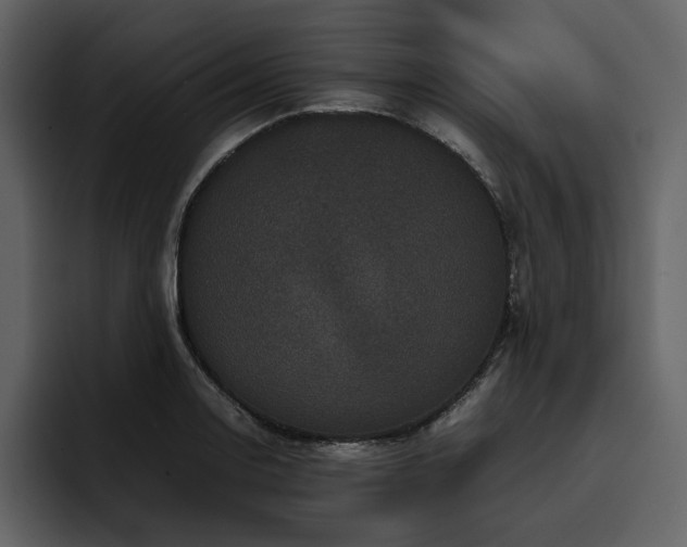X0000095951130200801111344