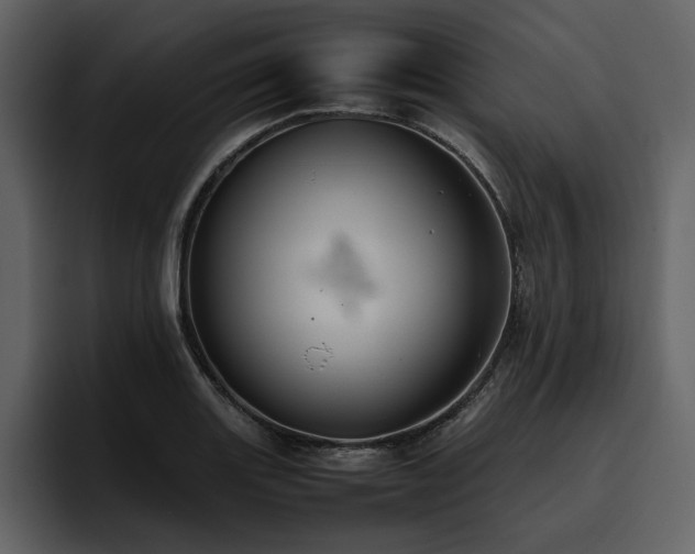 X0000095951131200801111344