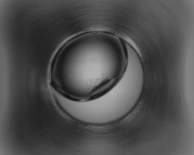 X0000095951132200801111344