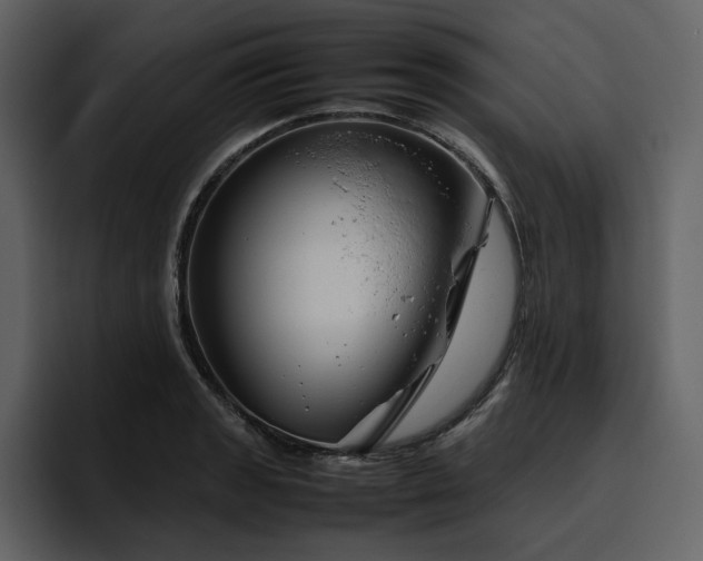 X0000095951133200801111344